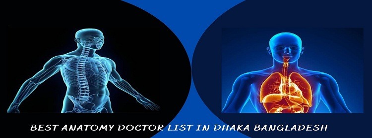 Best Anatomy Doctor List Dhaka Bangladesh With Phone Number