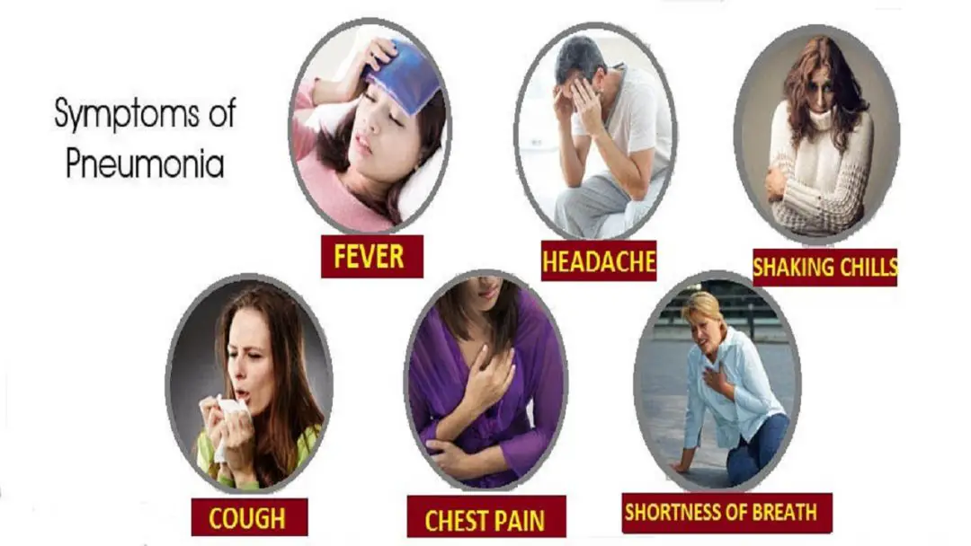 Symptoms of pneumonia and its treatment, Causes & Prevention